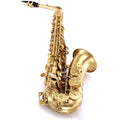 E Flat Alto Saxophone Set B438