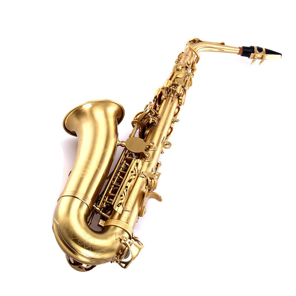 E Flat Alto Saxophone Set B438
