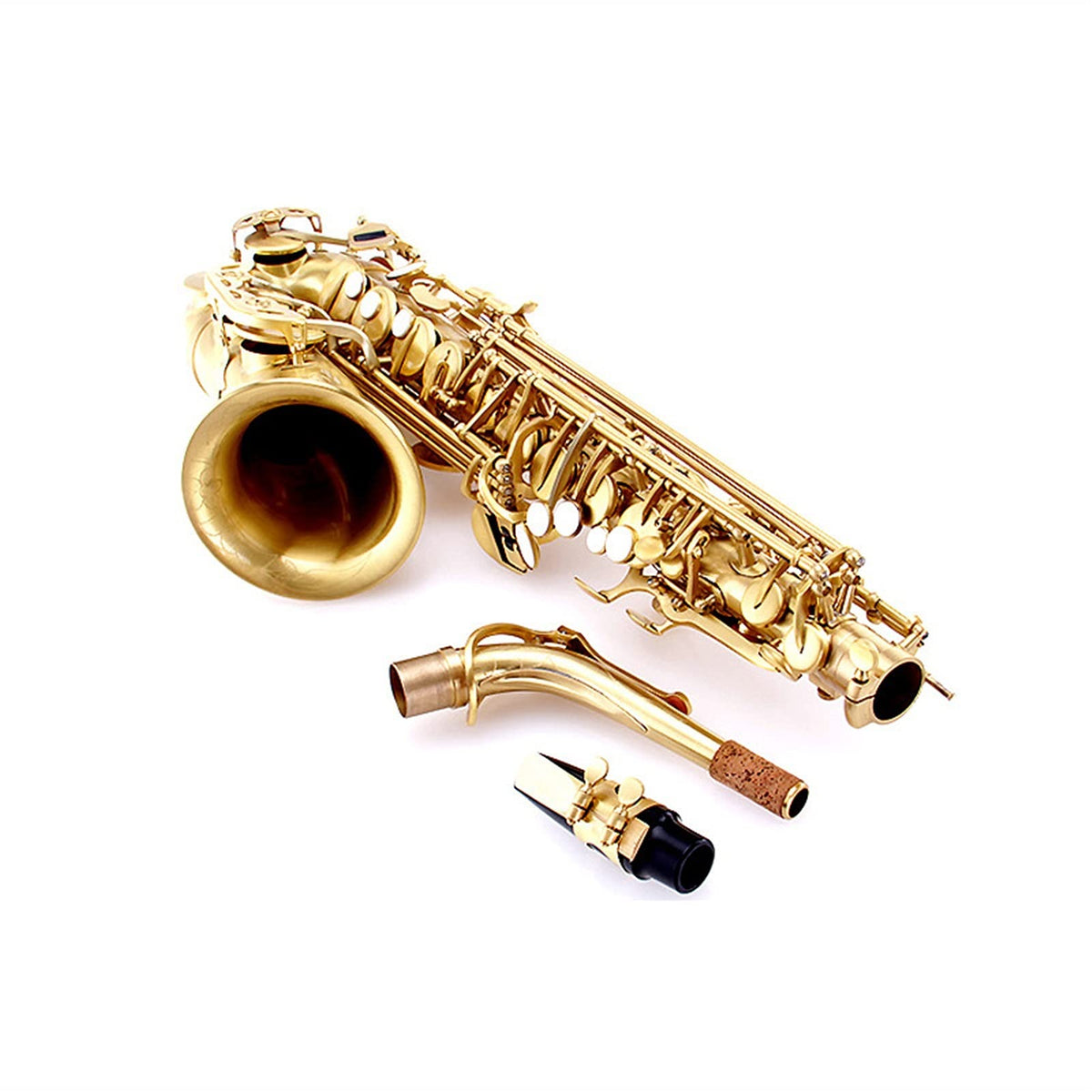 E Flat Alto Saxophone Set B438