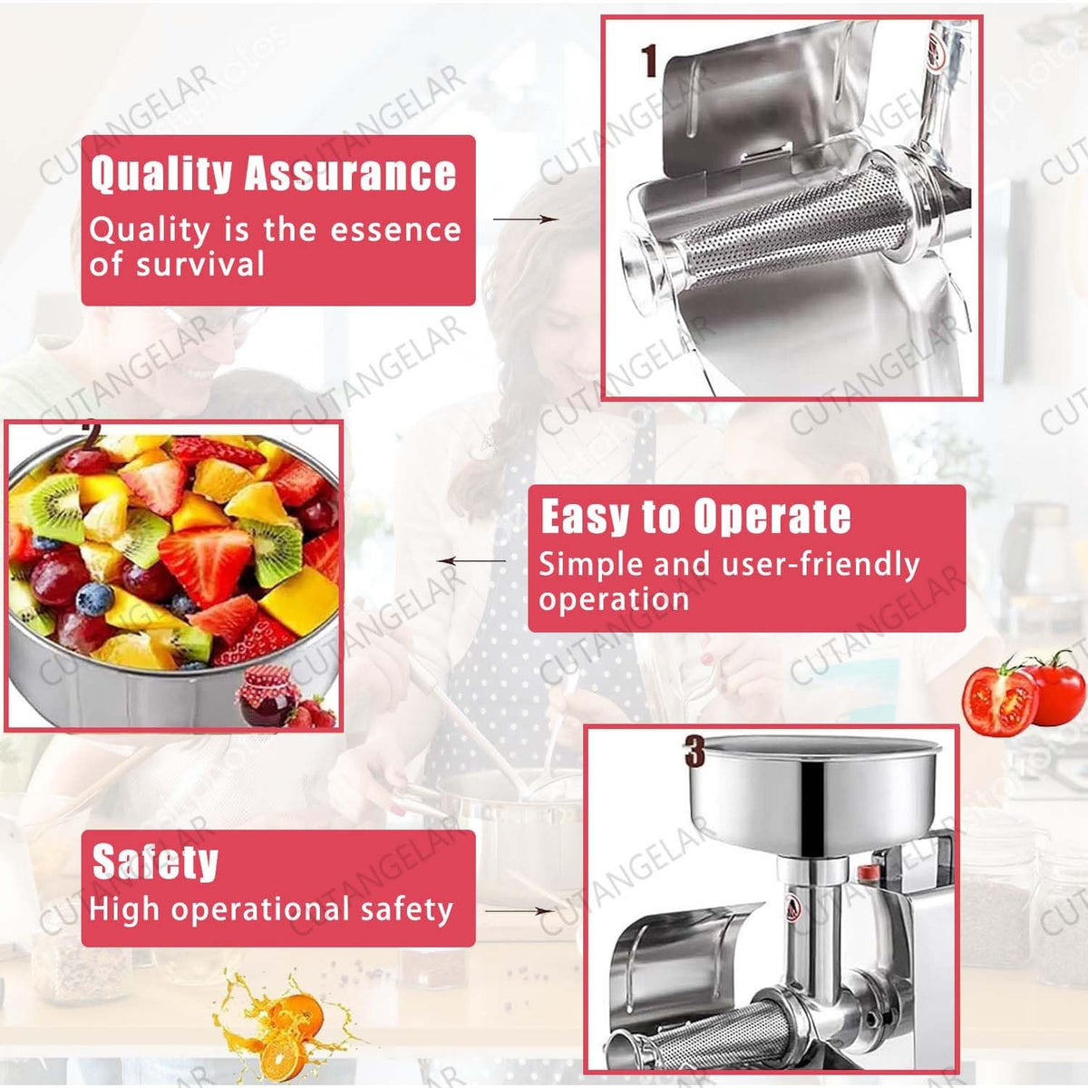 450W Electric Tomato Strainer with Seed Separator C5173