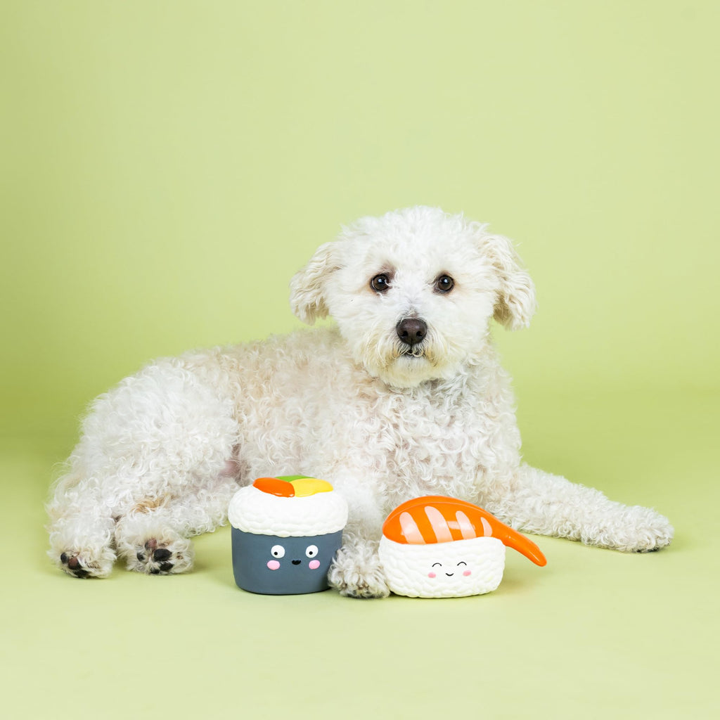 Set of 2 Latex Dog Toy Sets R92049