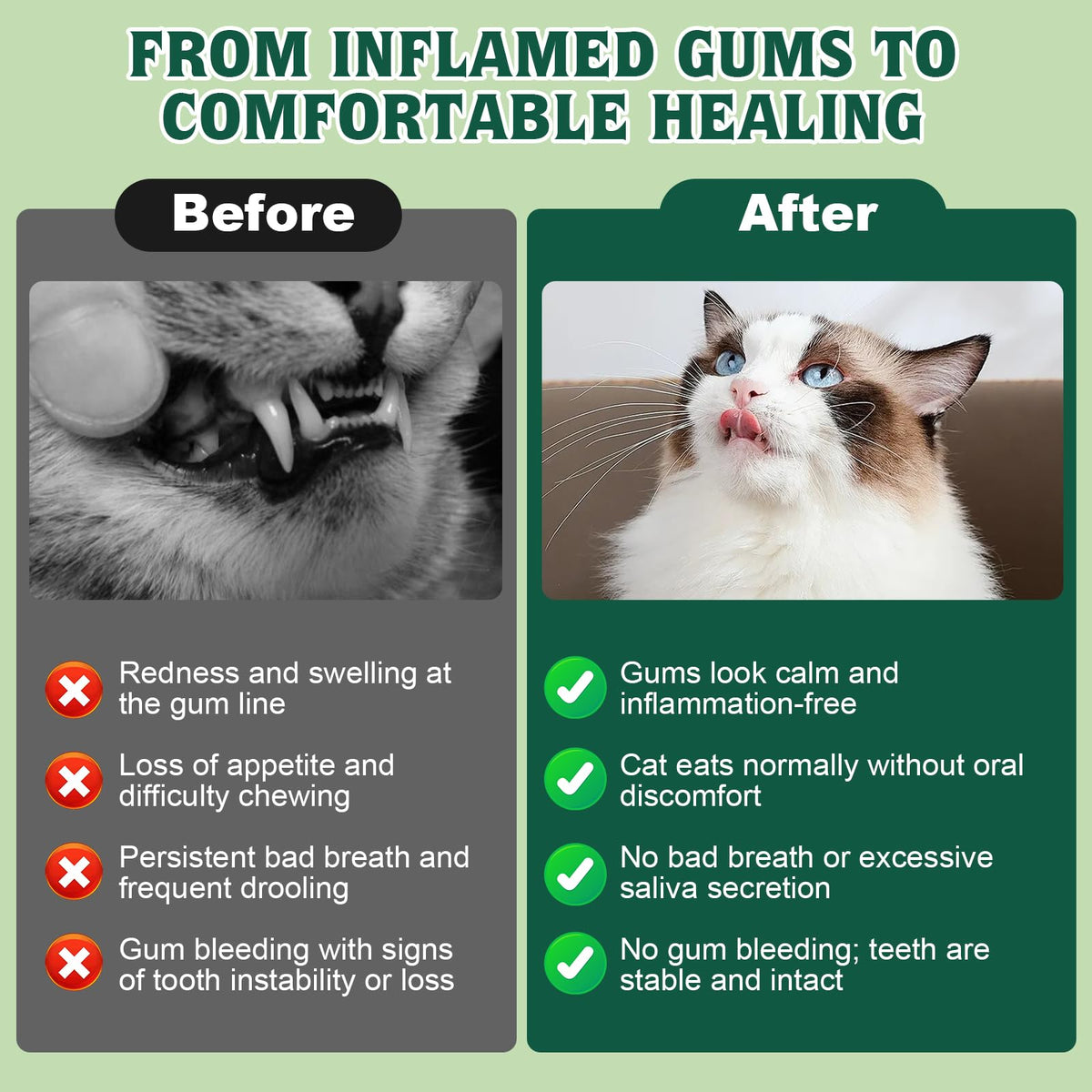 Natural Plant-Based Cat Oral Care 4 oz O5481