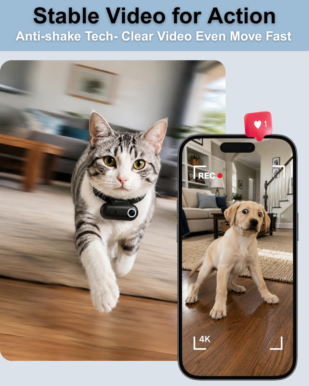 Cat Camera Collar with APP C795913
