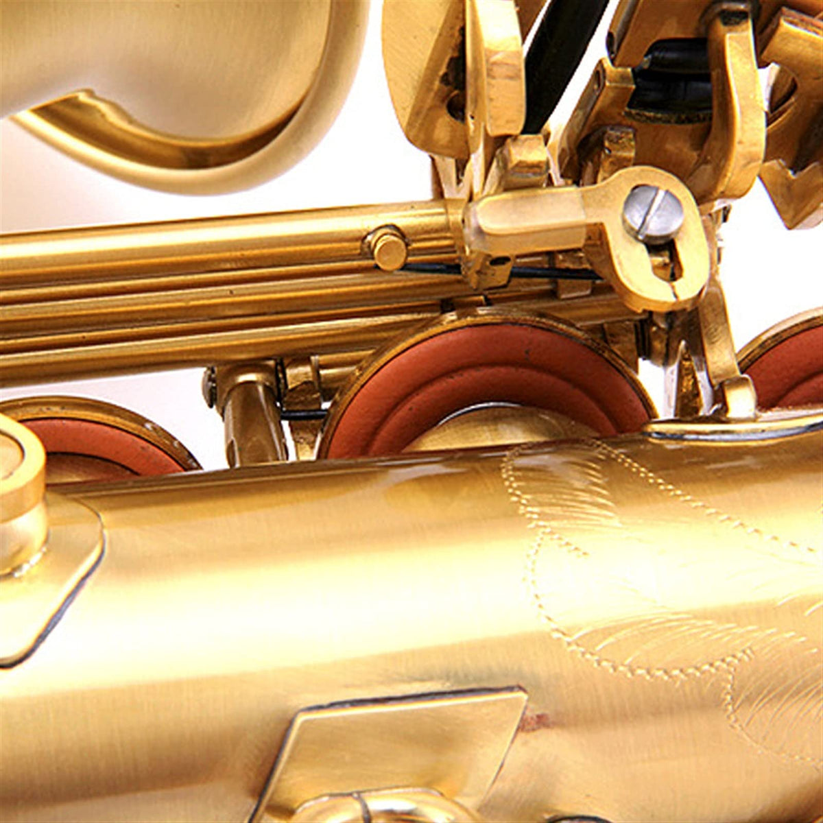 E Flat Alto Saxophone Set B438