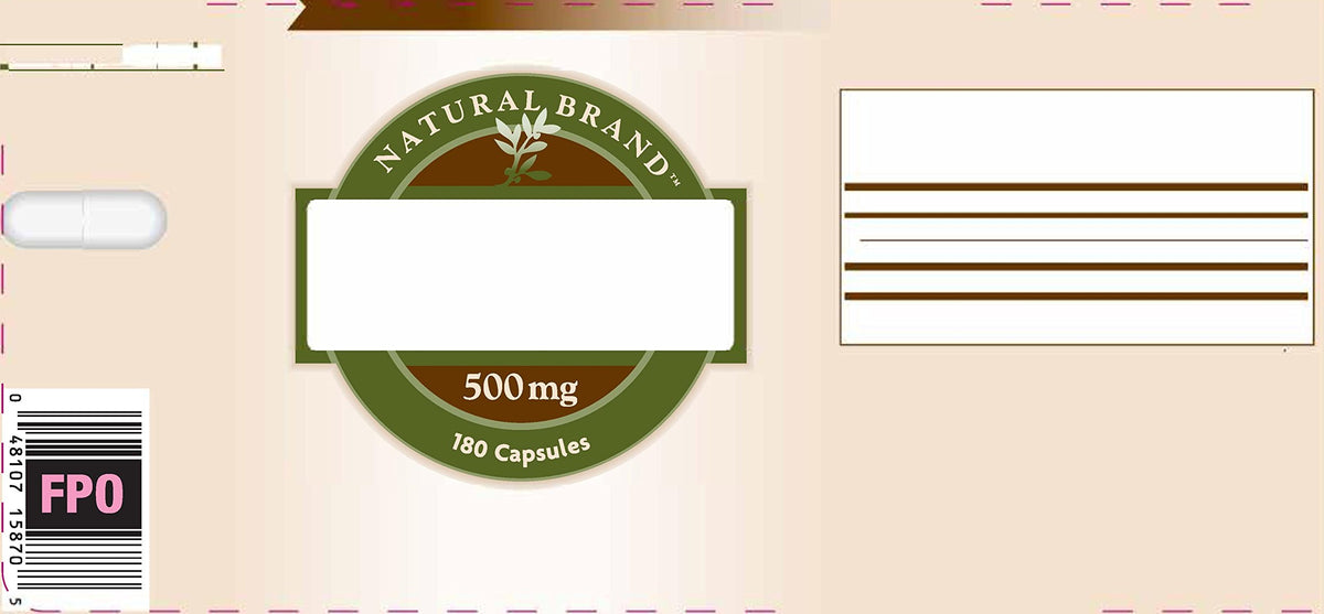 Psyllium Seed Husk 500mg 180 Capsules Z538