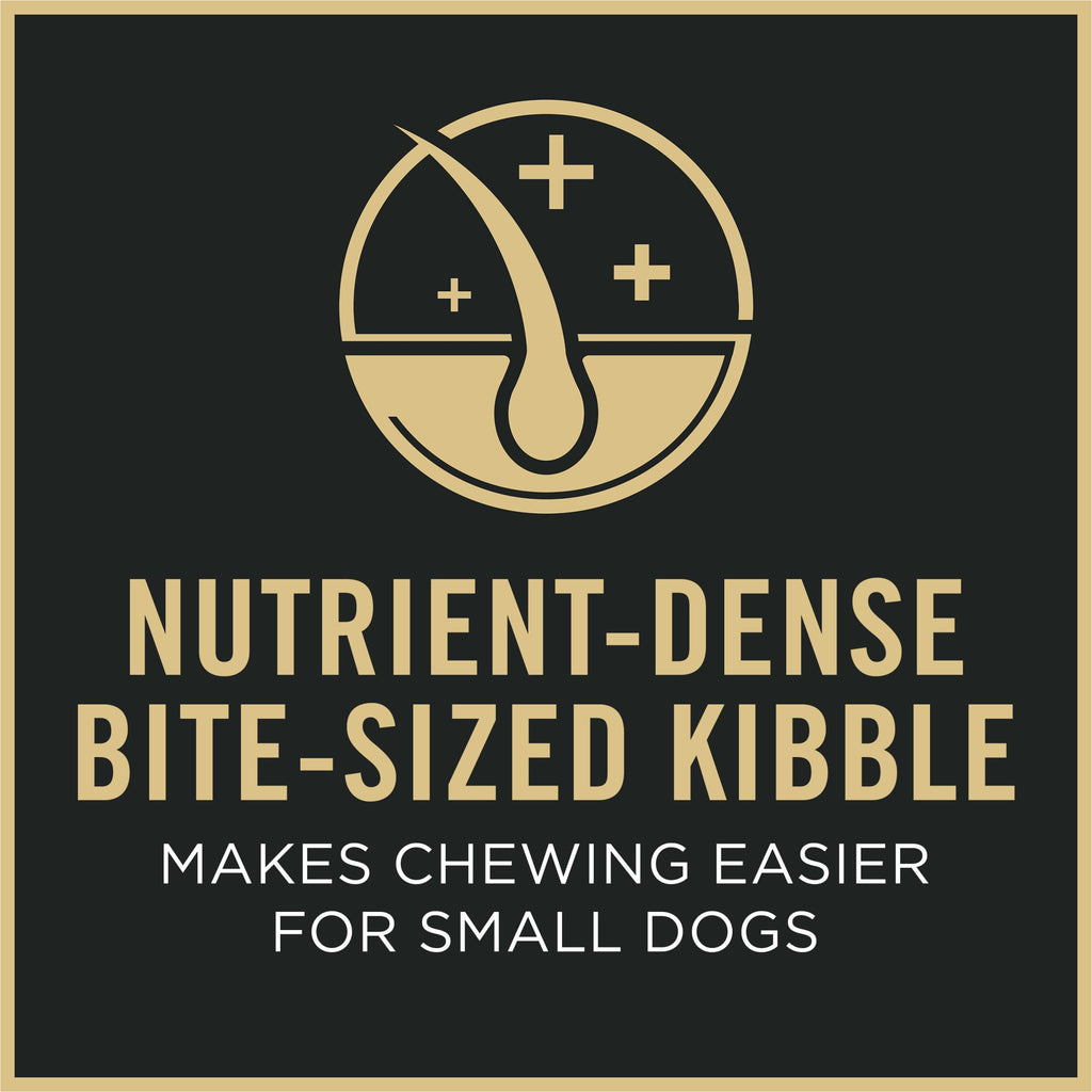 Senior Small Breed Dog Food 6 lb Bag I2896