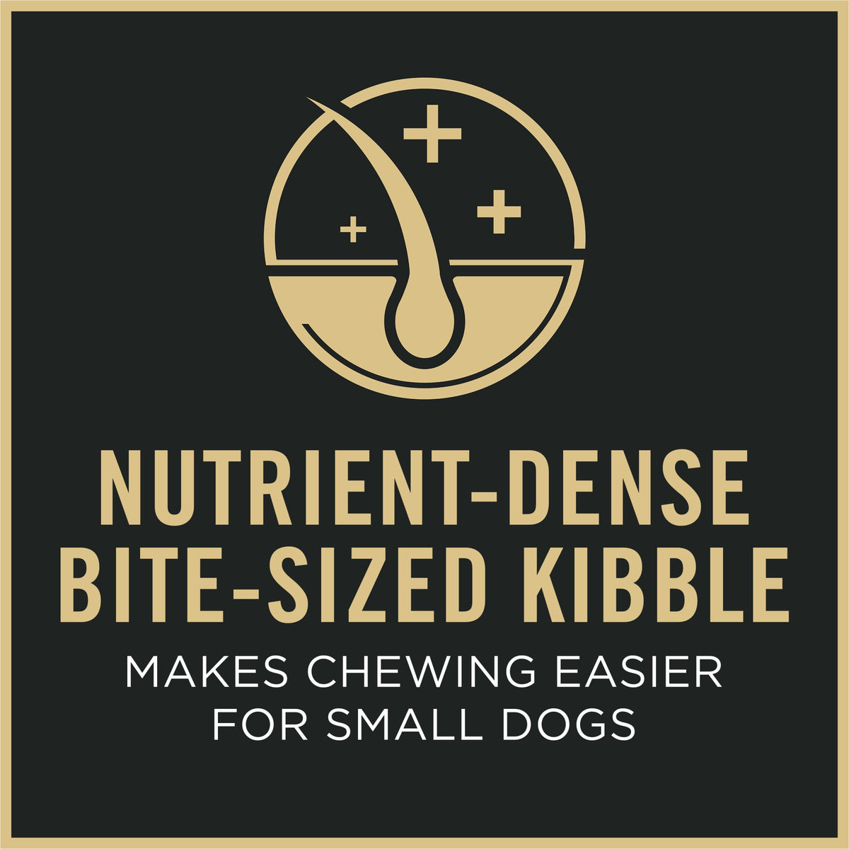 Senior Small Breed Dog Food 6 lb Bag I2896