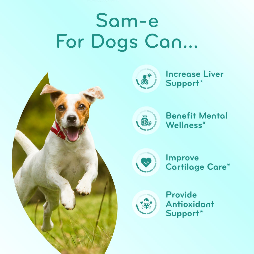 Chewable SAM-e Liver Support Supplement for Dogs 225mg J59712