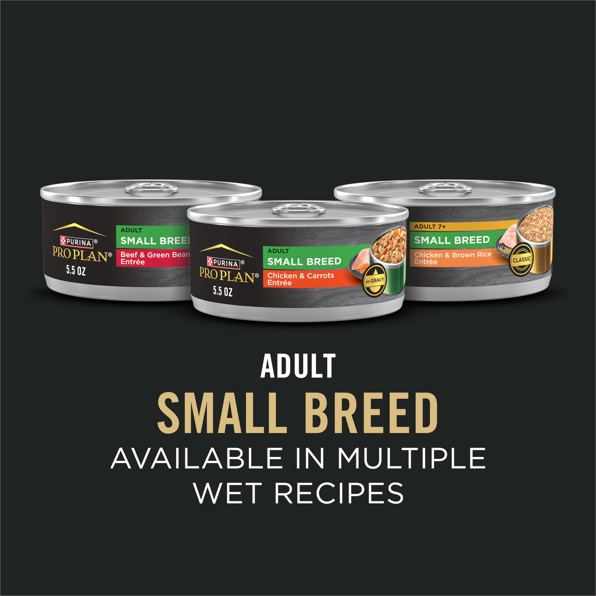 Senior Small Breed Dog Food 6 lb Bag I2896