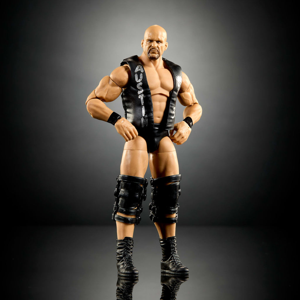 WWE Elite Collection Action Figure & Accessories U6849