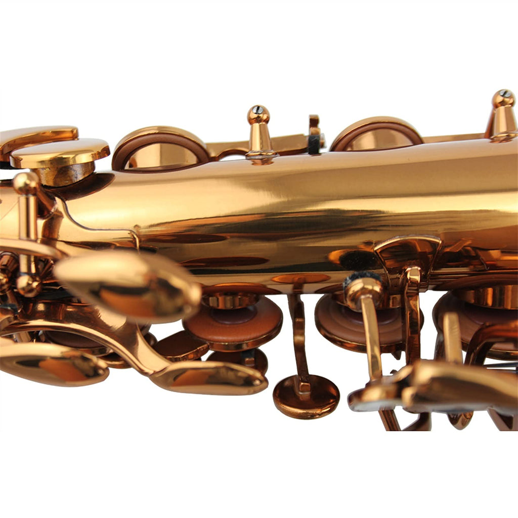Alto Saxophone Q821