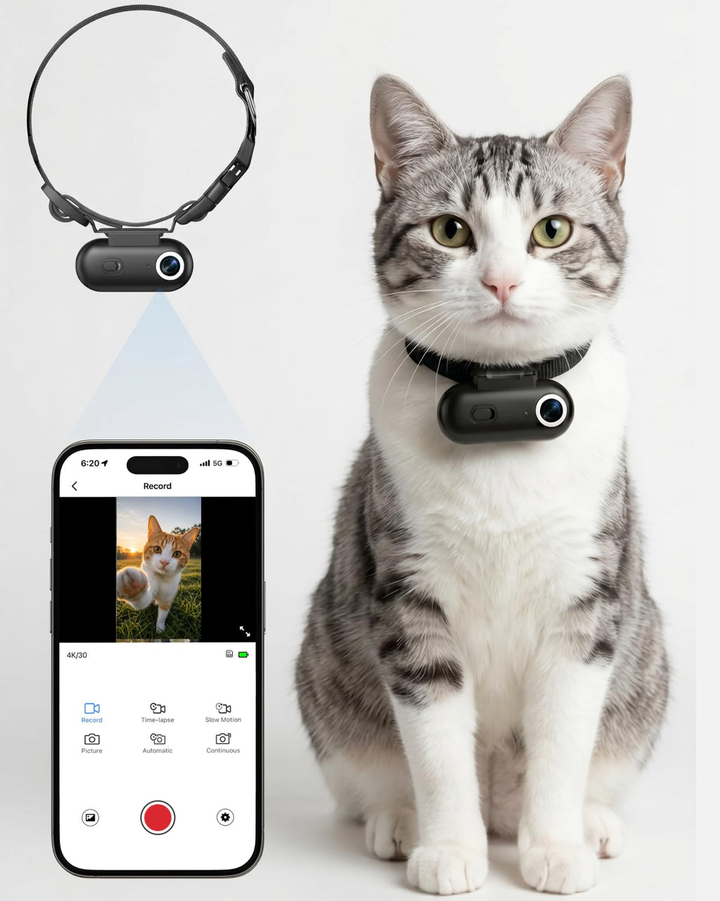 Cat Camera Collar with APP C795913