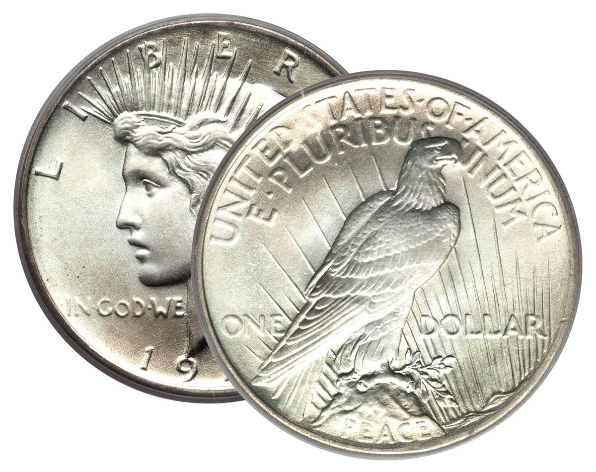 Peace Silver Dollar Extra Fine V439