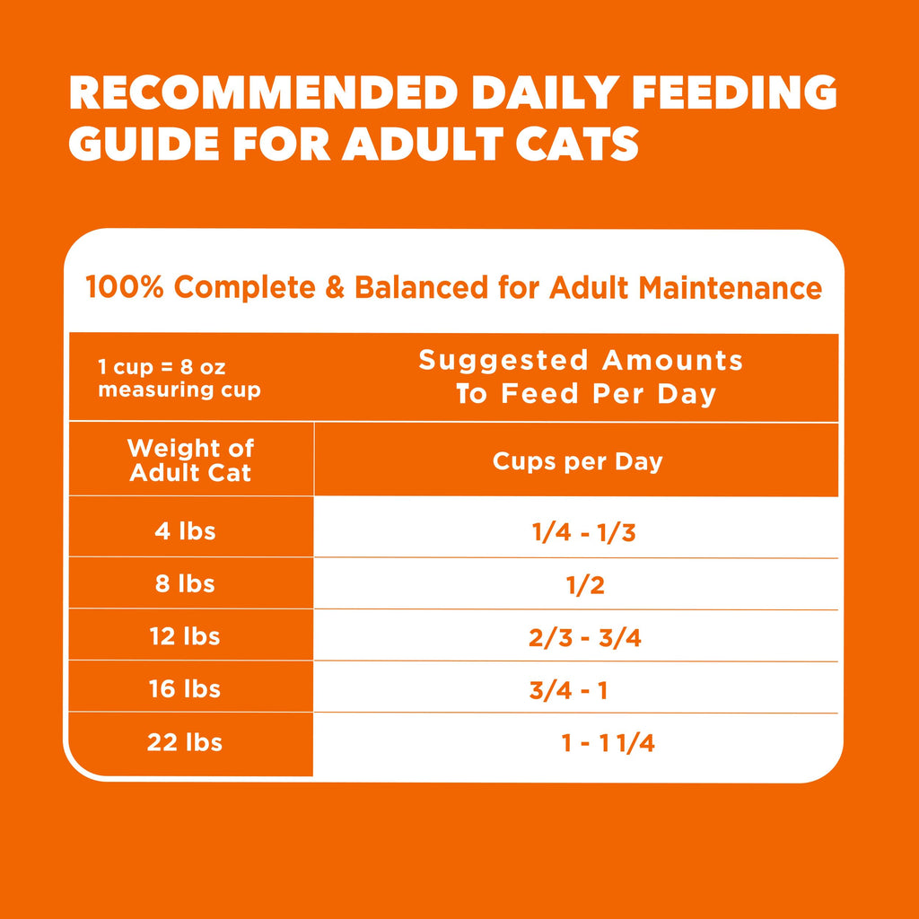 Dry Cat Food, Salmon, 16 lb J611