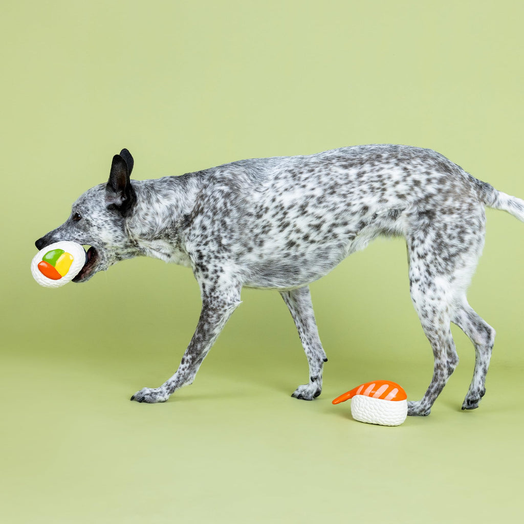 Set of 2 Latex Dog Toy Sets R92049