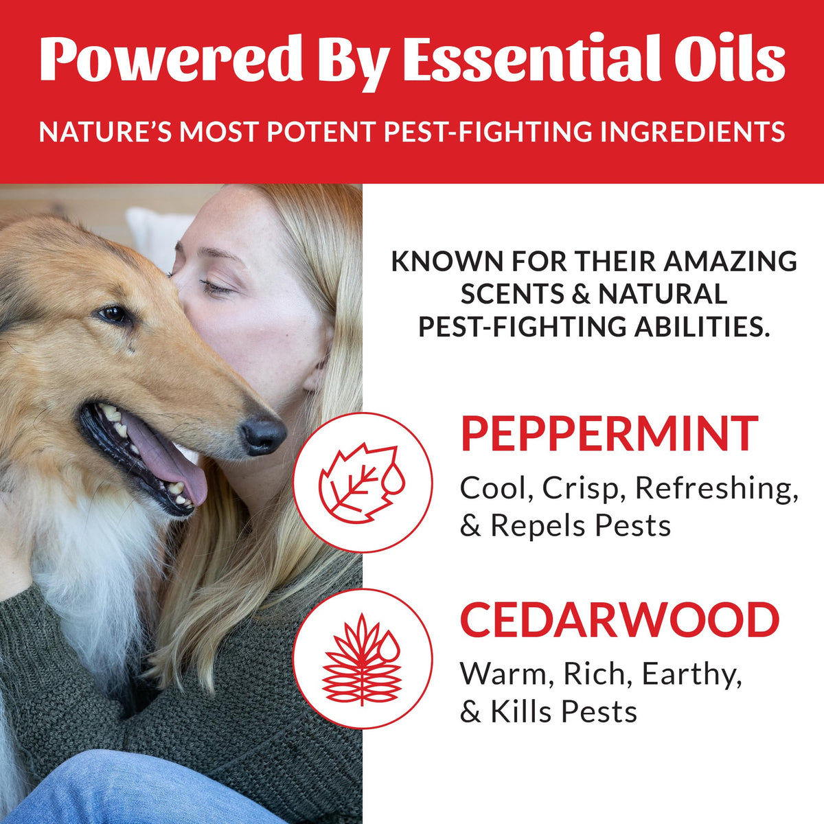 Natural Flea and Tick Dog Shampoo 16 oz H691