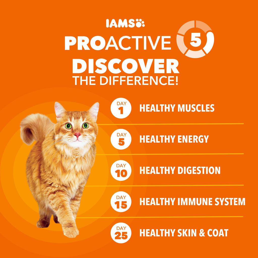Dry Cat Food, Salmon, 16 lb J611