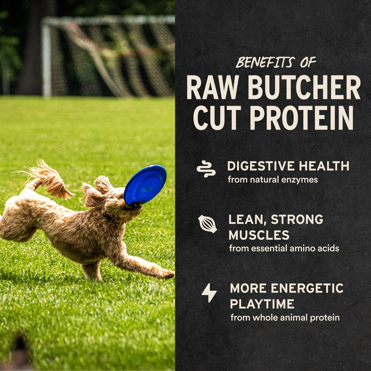 Freeze Dried Beef Liver Dog Treats 2.1 oz G368