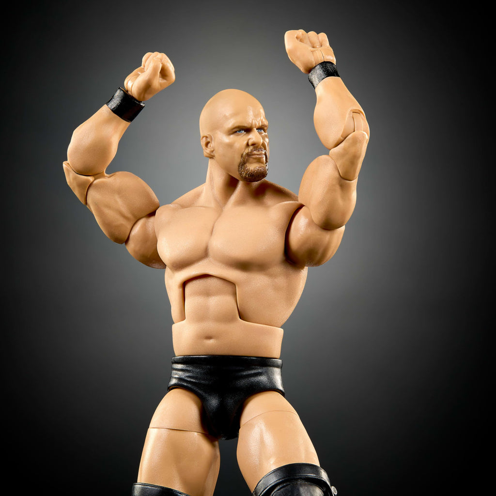 WWE Elite Collection Action Figure & Accessories U6849