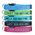 Personalized Dog Collar, 4 Adjustable Sizes Quick Release Buckle and D-Ring I995399