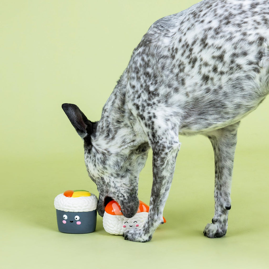 Set of 2 Latex Dog Toy Sets R92049