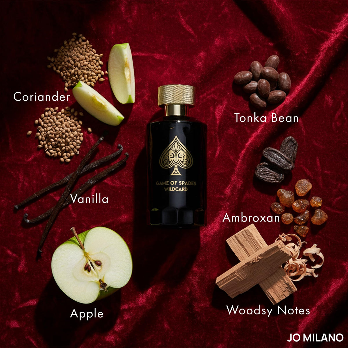 Parfum Spray 3.4 oz Vanilla Apple Tonka Oud Wood Bergamot N642