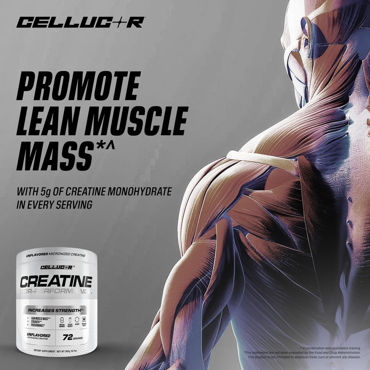 Creatine Monohydrate 72 Servings Q23848