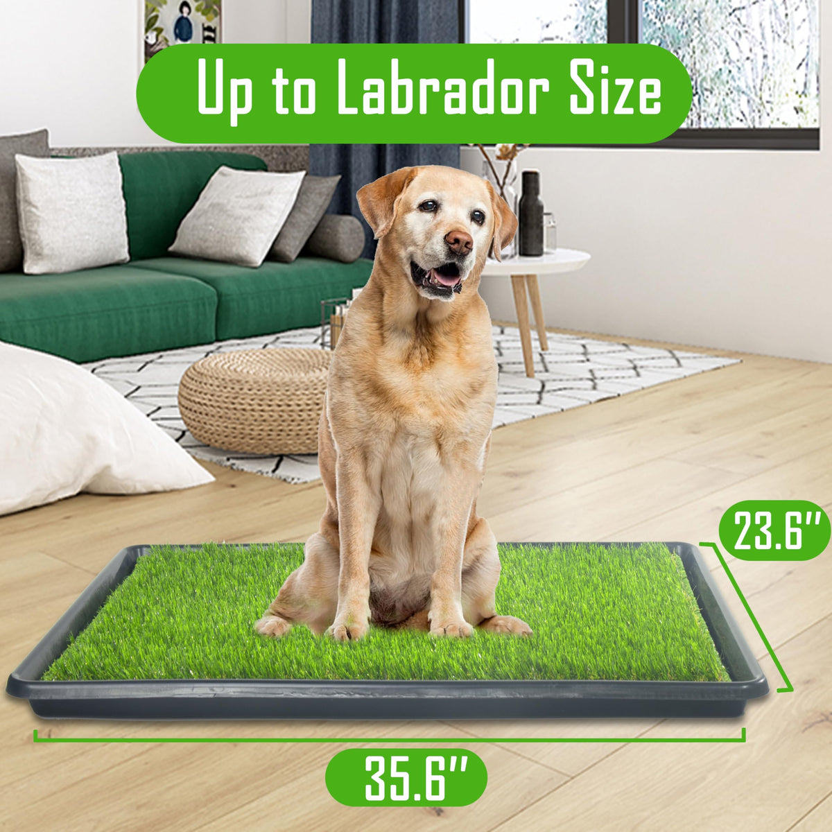Reusable Artificial Grass Dog Loo System with Tray and Pee Pads, 35x23in S243