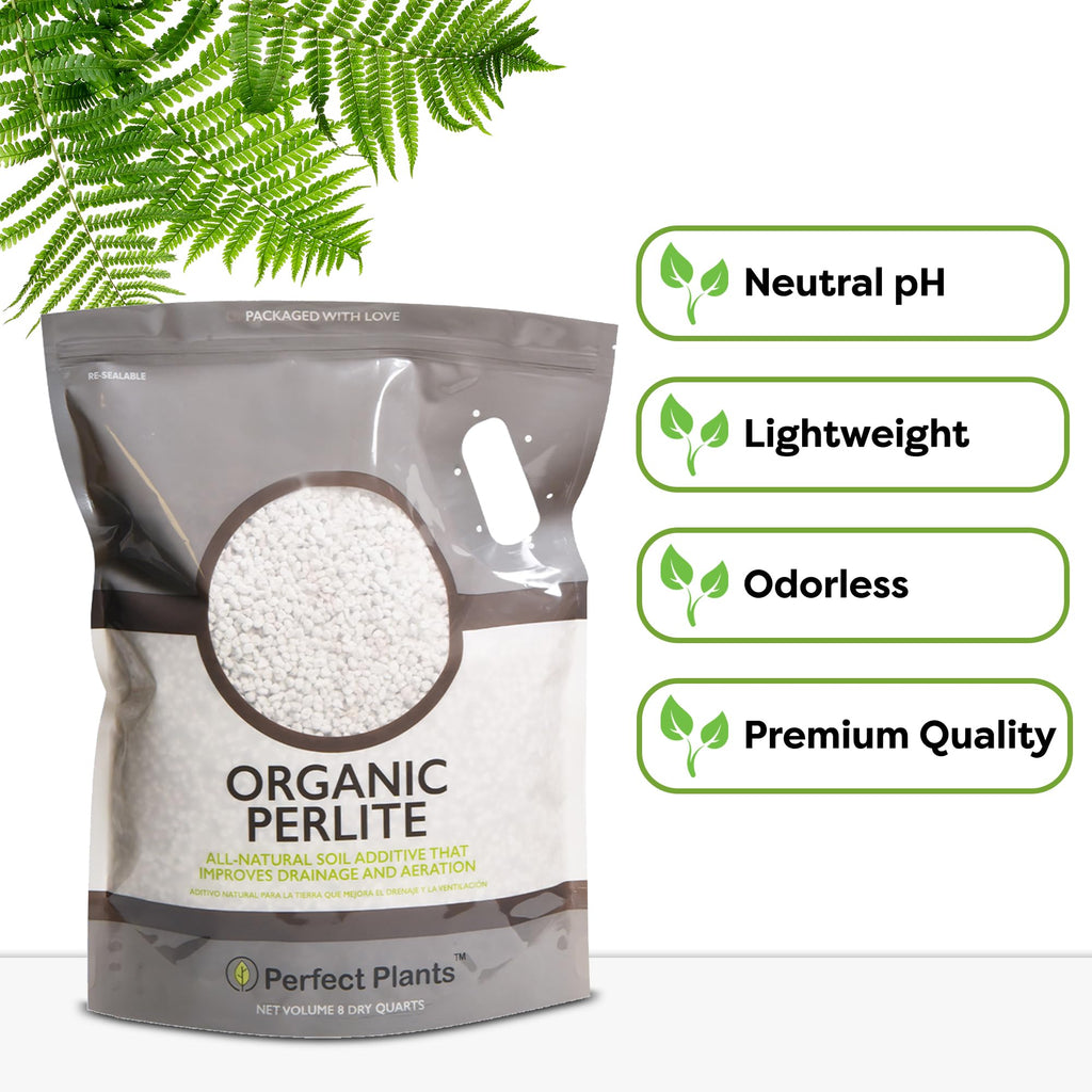 Organic Perlite 4 qt N649