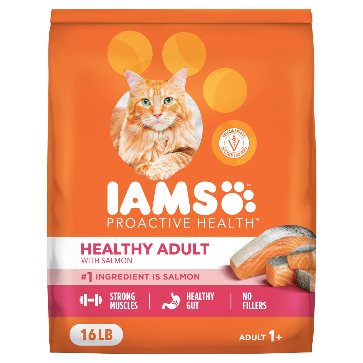 Dry Cat Food, Salmon, 16 lb J611