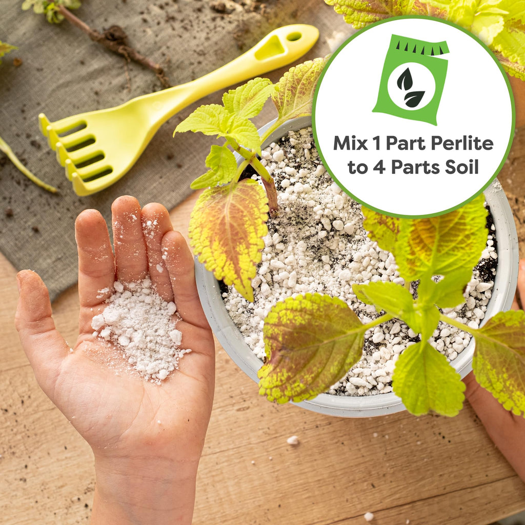 Organic Perlite 4 qt N649