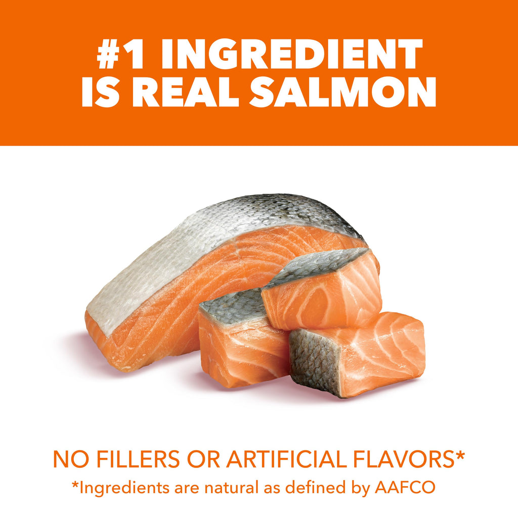 Dry Cat Food, Salmon, 16 lb J611