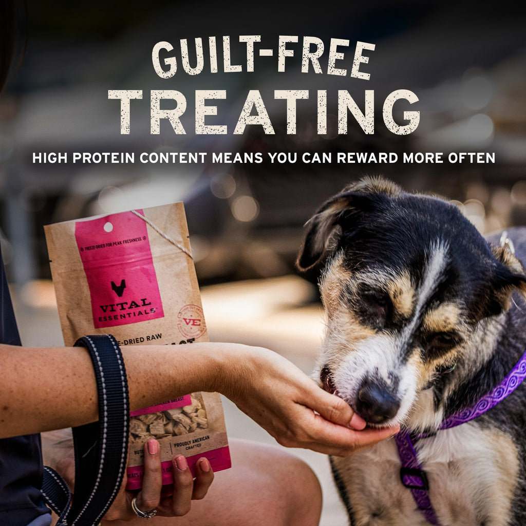Freeze Dried Beef Liver Dog Treats 2.1 oz G368